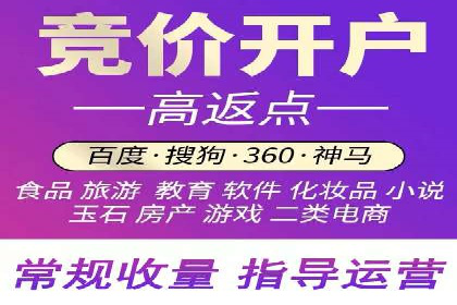 SEM代运营托管公司成功案例分析